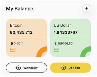 Netto Capitriva automated trading solution — dashboard overview